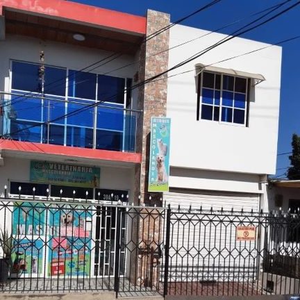 Veterinaria Mascolandia 1 veterinaria mascolandia