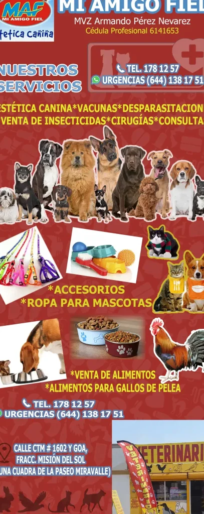 Veterinaria mi amigo fiel 1 veterinaria mi amigo fiel