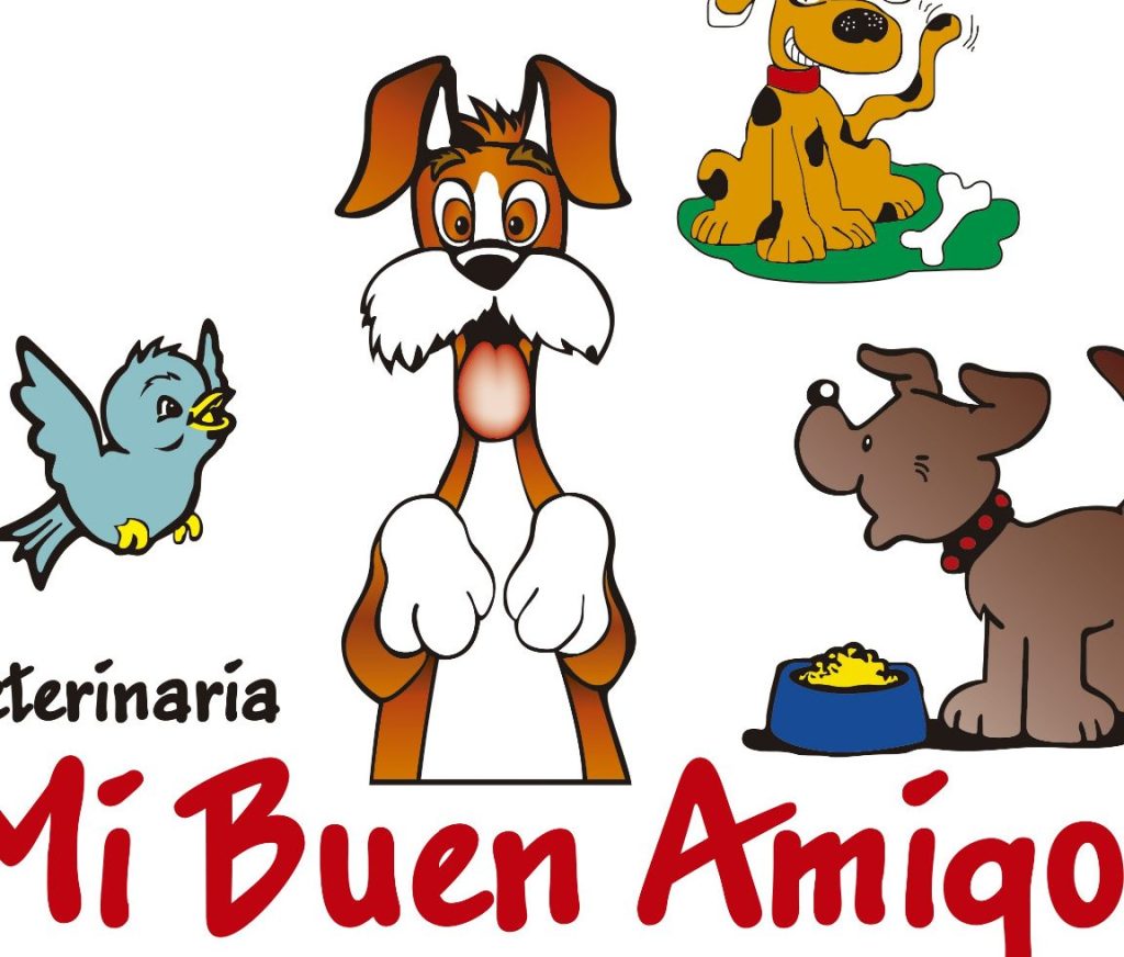 Veterinaria Mi Mejor Amigo 1 veterinaria mi mejor amigo