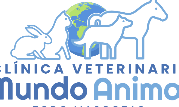 Veterinaria Mundo Animal 1 veterinaria mundo animal