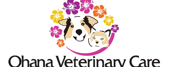 Veterinaria Ohana vet care 1 veterinaria ohana vet care