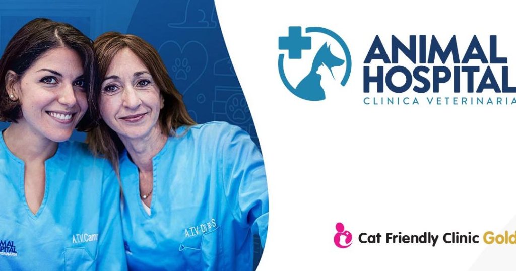 Veterinaria Palermo 1 veterinaria palermo