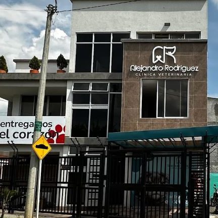 Veterinaria Palmira AR 1 veterinaria palmira ar