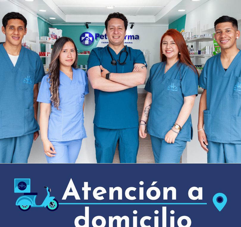 Veterinaria Pet Company 1 veterinaria pet company