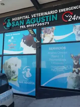 Veterinaria San Agustin Urgencias 1 veterinaria san agustin urgencias