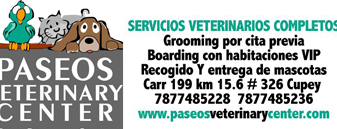 veterinaria servicios y paseos 1 veterinaria servicios y paseos