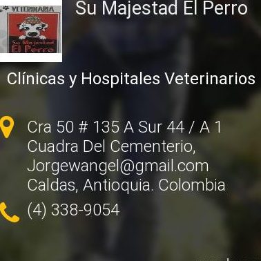 Veterinaria Su Majestad El Perro 1 veterinaria su majestad el perro