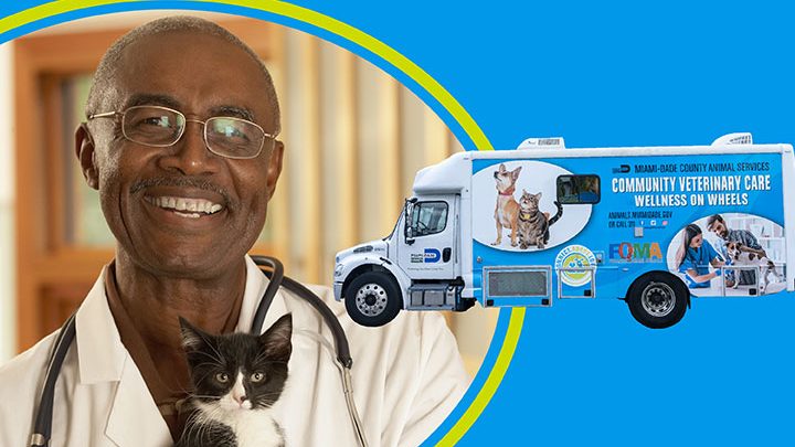 veterinaria wow 1 veterinaria wow