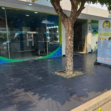 Veterinaria yopal | Hospital Veterinario Los Mejores Amigos | Urgencias veterinarias 24 horas 1 veterinaria yopal hospital veterinario los mejores amigos urgencias veterinarias 24 horas