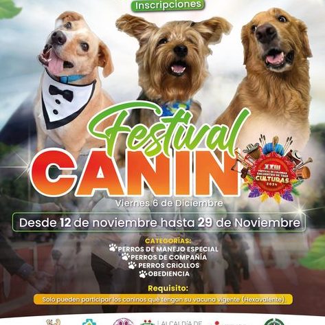 VETERINARIARIA HUELLITAS CANINAS Y FELINAS SAS 1 veterinariaria huellitas caninas y felinas sas