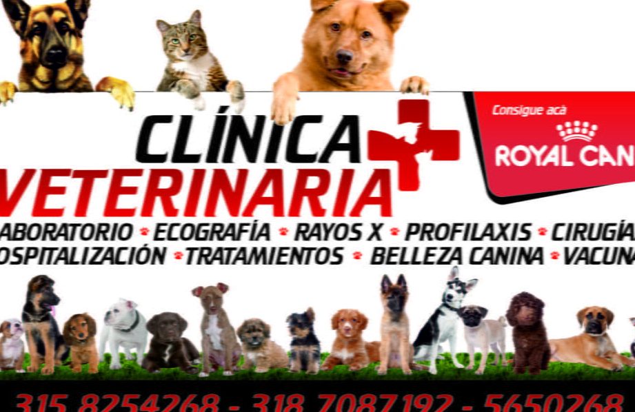 Veterinarias en Aguachica, Colombia 1 veterinarias en aguachica colombia