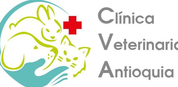 Veterinarias en Antioquia, Colombia 1 veterinarias en antioquia colombia
