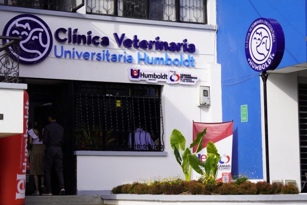 Veterinarias en Armenia, Colombia 1 veterinarias en armenia colombia