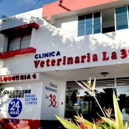 Veterinarias en Barranquilla, Colombia 1 veterinarias en barranquilla colombia