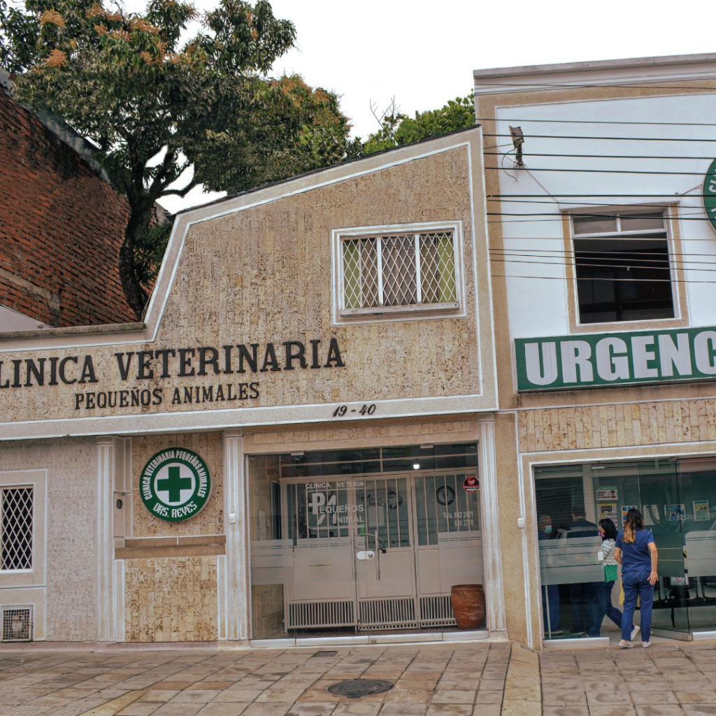 Veterinarias en Bucaramanga, Colombia 1 veterinarias en bucaramanga colombia