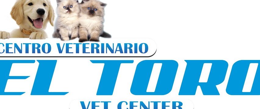 Veterinarias en Buga, Colombia 1 veterinarias en buga colombia