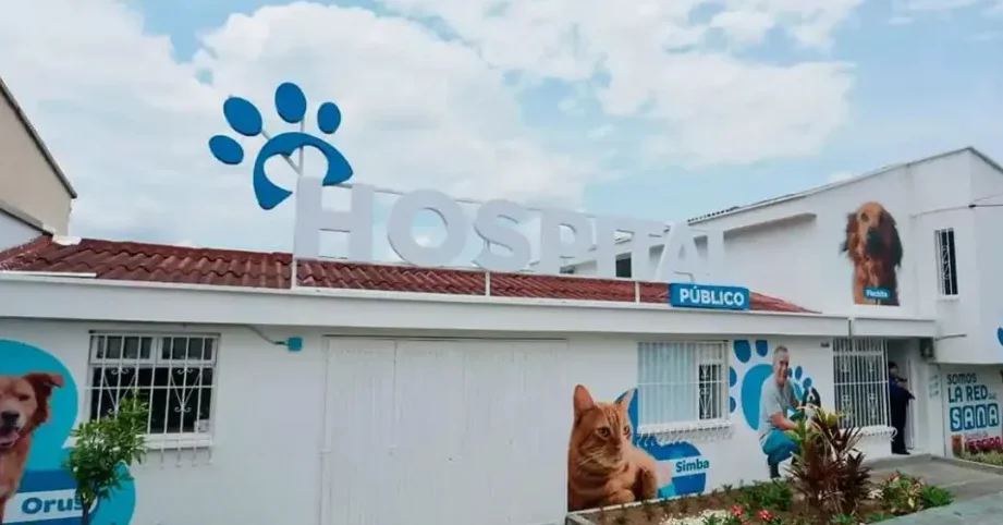 Veterinarias en Calarcá, Colombia 1 veterinarias en calarca colombia