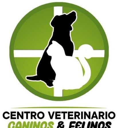 Veterinarias en Cali, Colombia 1 veterinarias en cali colombia