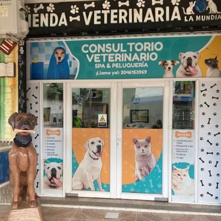 Veterinarias en Cartagena, Colombia 1 veterinarias en cartagena colombia