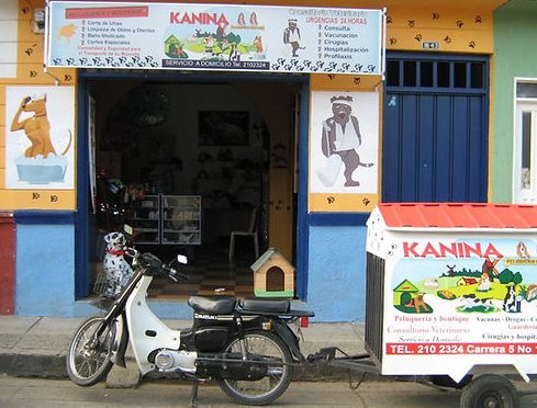 Veterinarias en Cartago, Colombia 1 veterinarias en cartago colombia