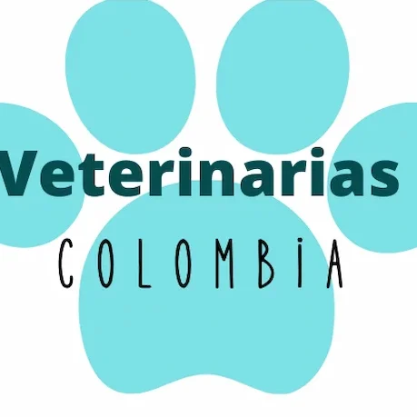 Veterinarias en Caucasia, Colombia 1 veterinarias en caucasia colombia