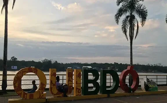 Veterinarias en Choc贸, Colombia 1 veterinarias en choco colombia