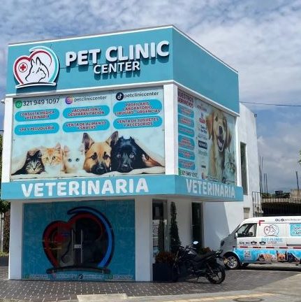 Veterinarias en Cúcuta, Colombia 1 veterinarias en cucuta colombia