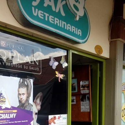 Veterinarias en Cundinamarca, Colombia 1 veterinarias en cundinamarca colombia