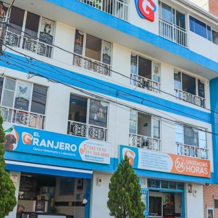 Veterinarias en Dosquebradas, Colombia 1 veterinarias en dosquebradas colombia