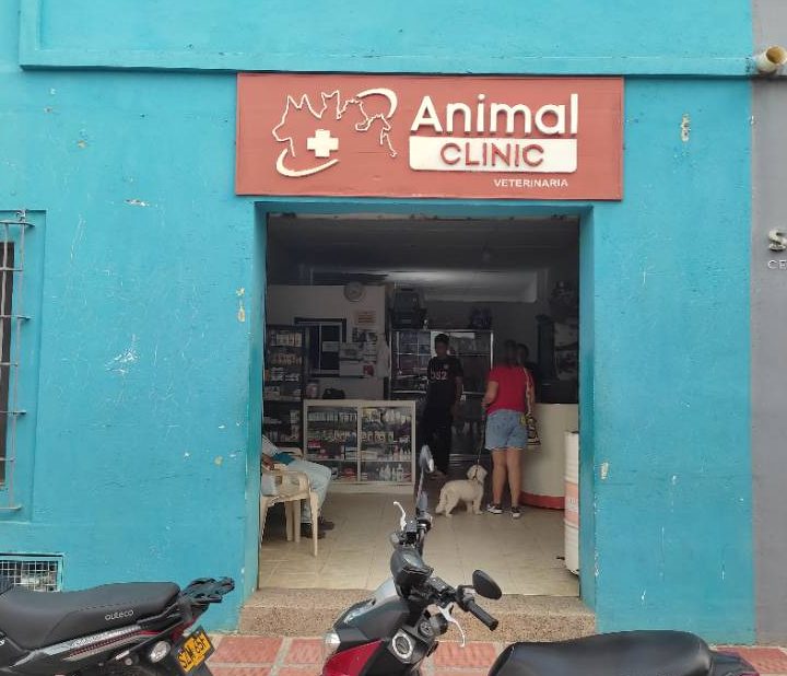 Veterinarias en El Banco, Colombia 1 veterinarias en el banco colombia