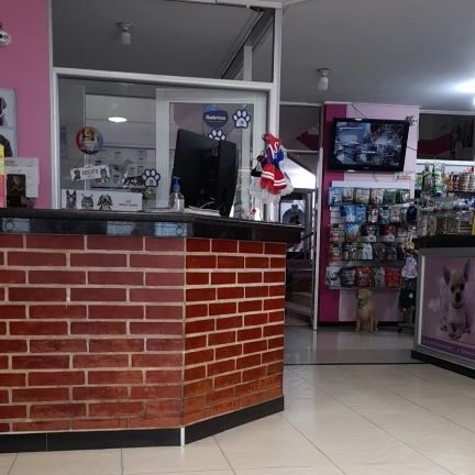 Veterinarias en Florencia, Colombia 1 veterinarias en florencia colombia