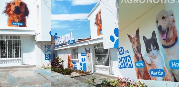 Veterinarias en Fundaci贸n, Colombia 1 veterinarias en fundacion colombia