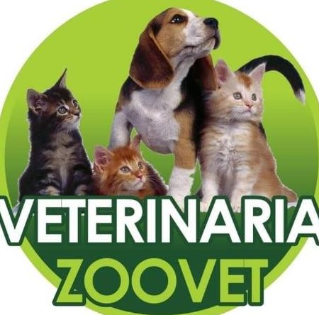 Veterinarias en Garz贸n, Colombia 1 veterinarias en garzon colombia