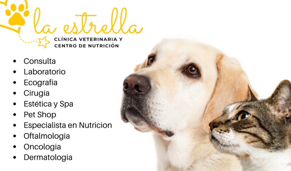 Veterinarias en La Estrella, Colombia 1 veterinarias en la estrella colombia