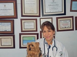 Veterinarias en La Plata, Colombia 1 veterinarias en la plata colombia