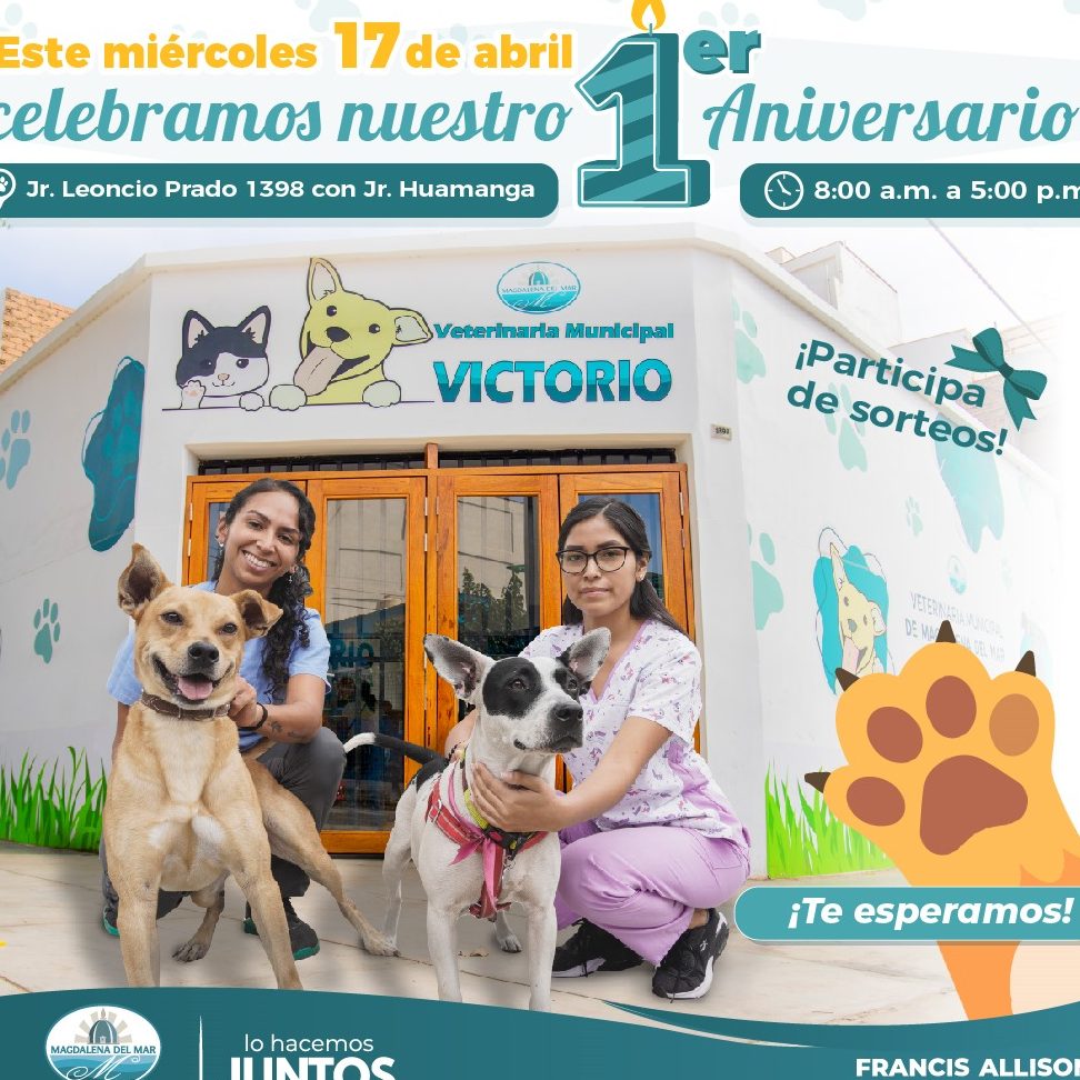 Veterinarias en Magdalena, Colombia 1 veterinarias en magdalena colombia