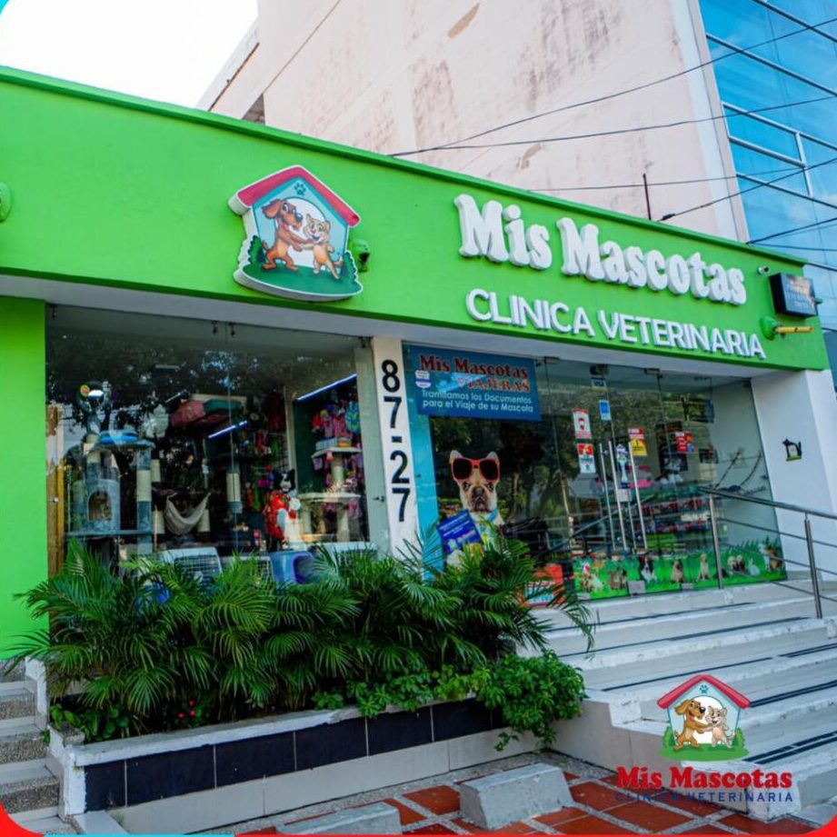 Veterinarias en Maicao, Colombia 1 veterinarias en maicao colombia