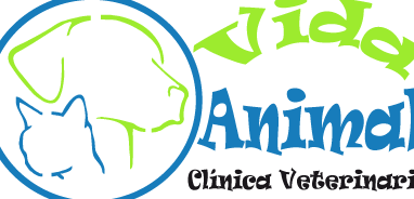 Veterinarias en Manizales, Colombia 1 veterinarias en manizales colombia