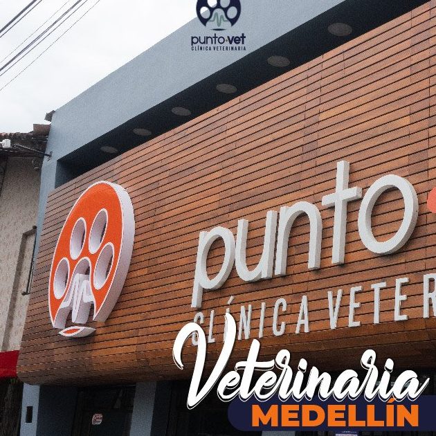 Veterinarias en Medellín, Colombia 1 veterinarias en medellin colombia