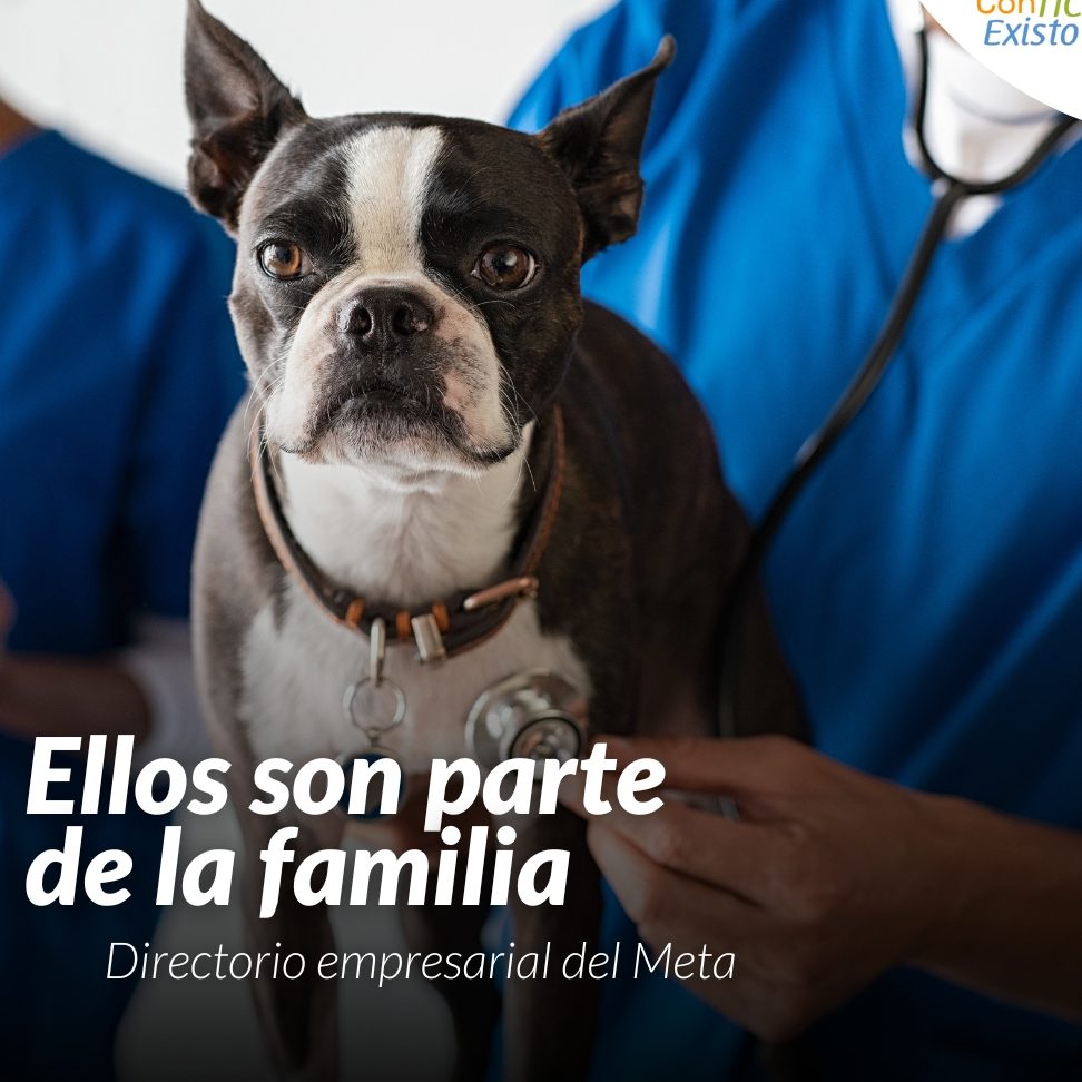 Veterinarias en Meta, Colombia 1 veterinarias en meta colombia