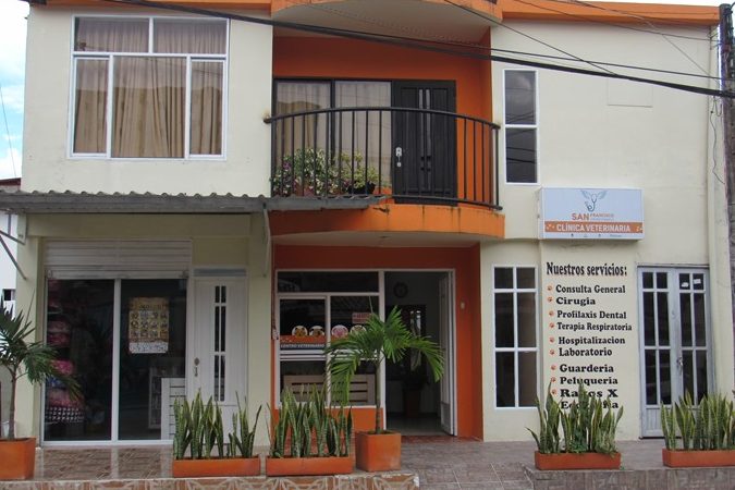 Veterinarias en Mocoa, Colombia 1 veterinarias en mocoa colombia