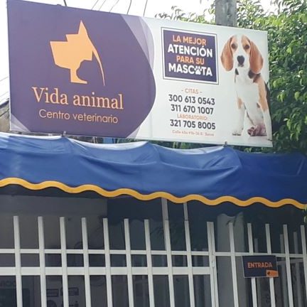 Veterinarias en Montería, Colombia 1 veterinarias en monteria colombia