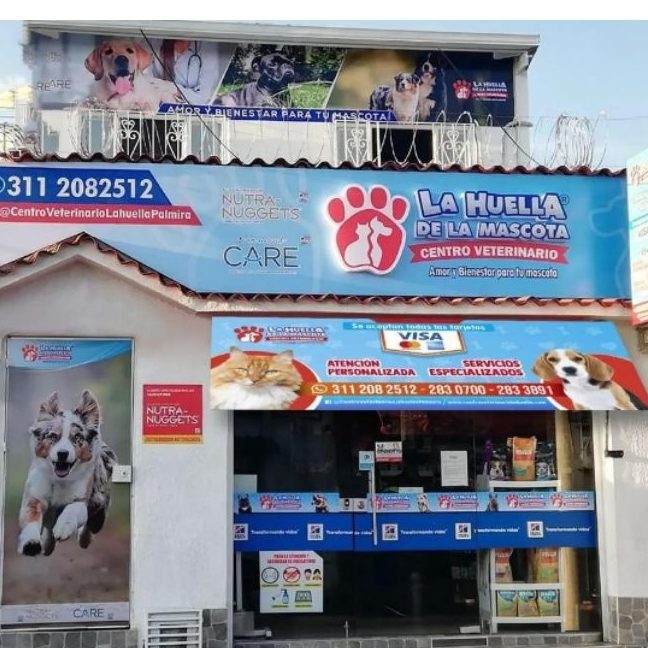 Veterinarias en Palmira, Colombia 1 veterinarias en palmira colombia