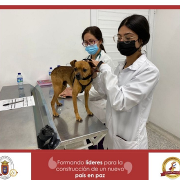 Veterinarias en Pamplona, Colombia 1 veterinarias en pamplona colombia