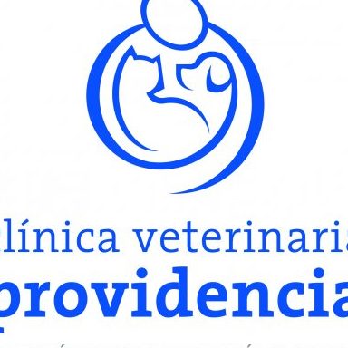 Veterinarias en Providencia, Colombia 1 veterinarias en providencia colombia