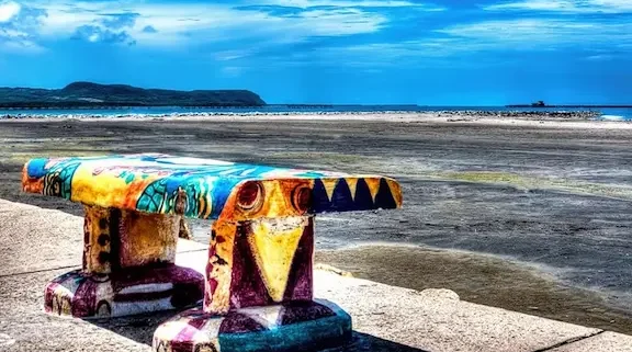 Veterinarias en Puerto Carreño, Colombia 1 veterinarias en puerto carreno colombia