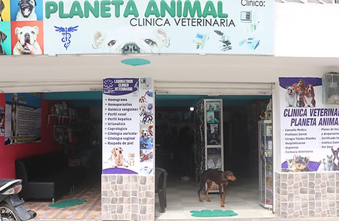 Veterinarias en Putumayo, Colombia 1 veterinarias en putumayo colombia