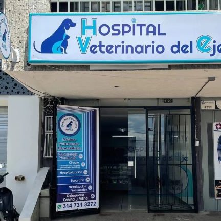 Veterinarias en Quindío, Colombia 1 veterinarias en quindio colombia