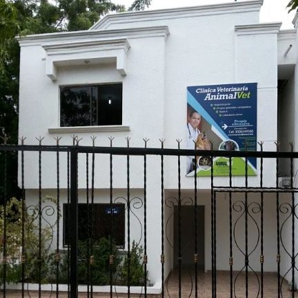 Veterinarias en Riohacha, Colombia 1 veterinarias en riohacha colombia