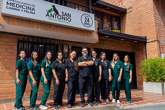 Veterinarias en Rionegro, Colombia 1 veterinarias en rionegro colombia